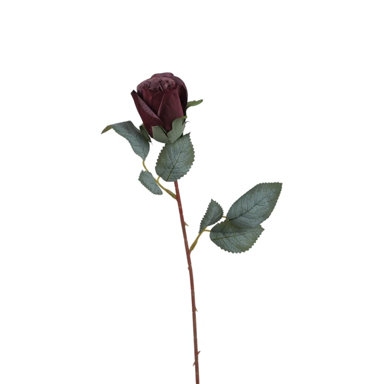 Róża pojedyncza 50 cm