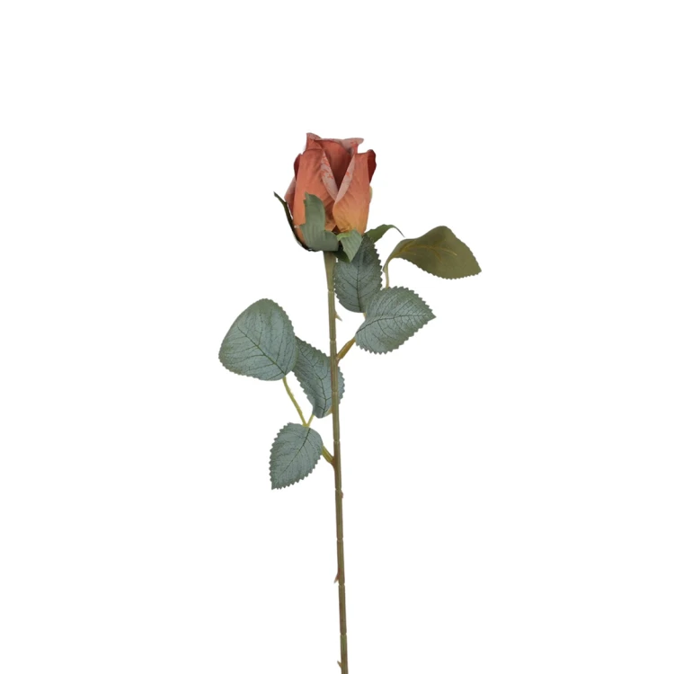 Róża pojedyncza 50 cm