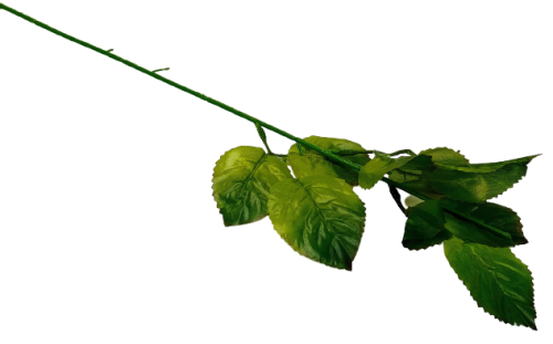 Łodyga do róży zielona 57 cm