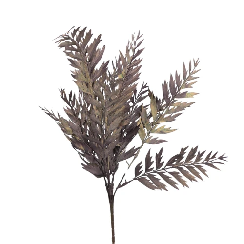 Paprotka gumowa 57 cm