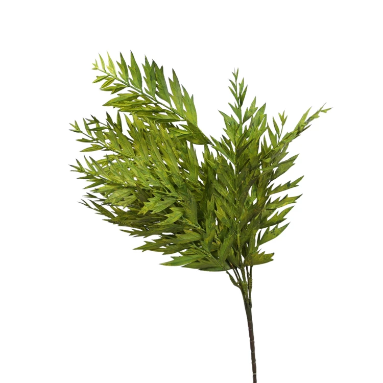 Paprotka gumowa 57 cm