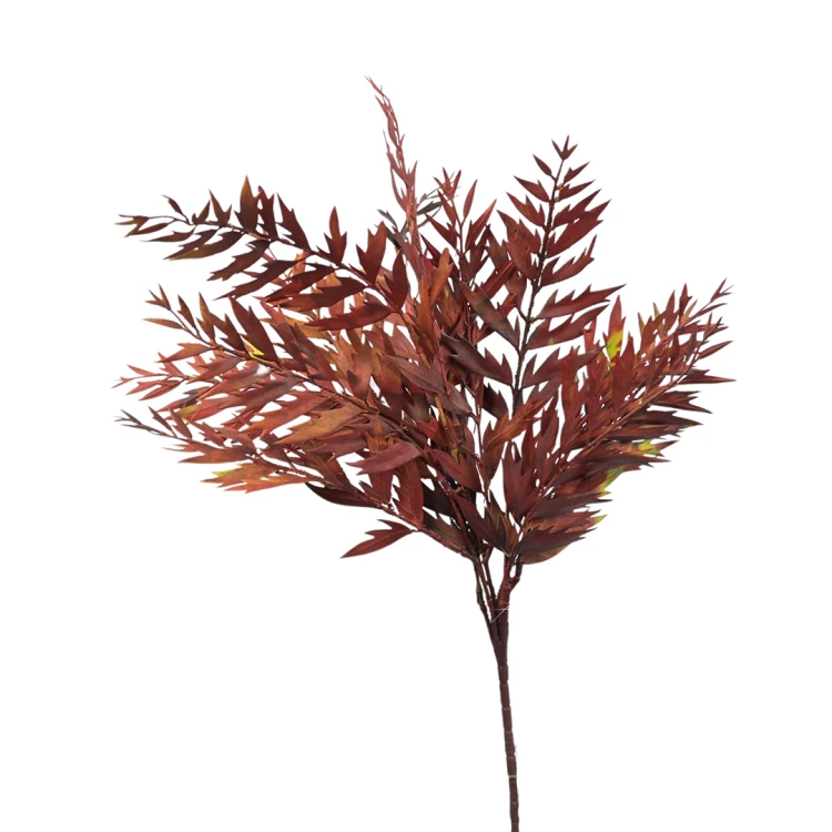 Paprotka gumowa 57 cm