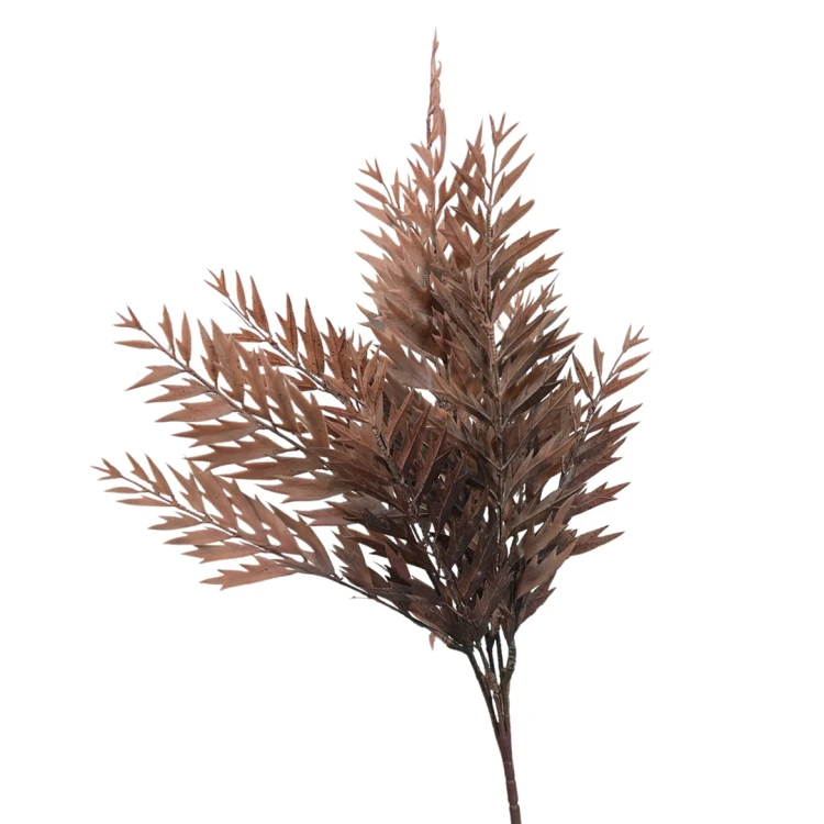 Paprotka gumowa 57 cm