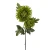 Sztuczna gałązkowa chryzantema w kolorze zielonym 90 cm