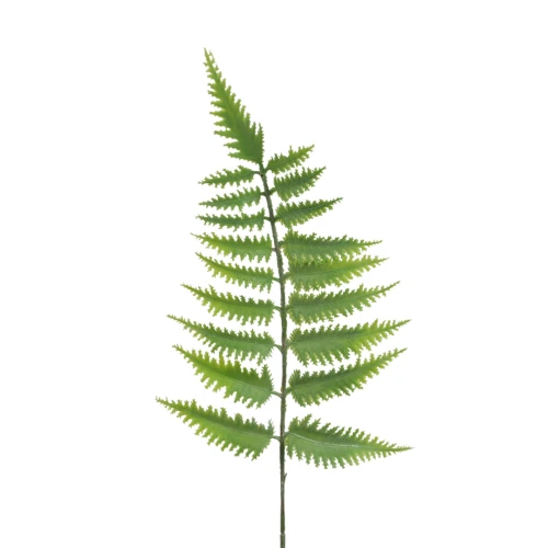 Sztuczna paprotka leśna w kolorze zielono/szarym 30 cm