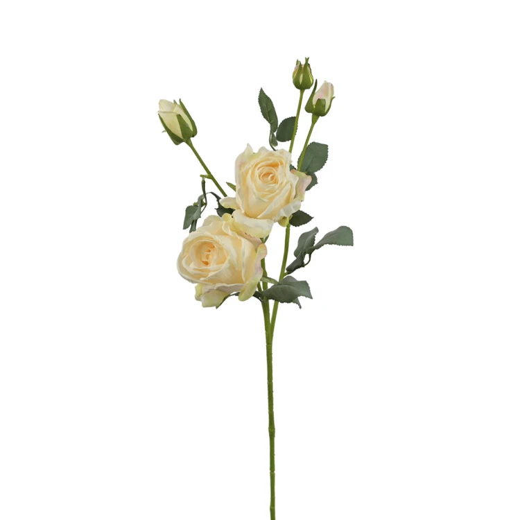 Sztuczna róża suszona gałązkowa w kolorze kremowym 68 cm