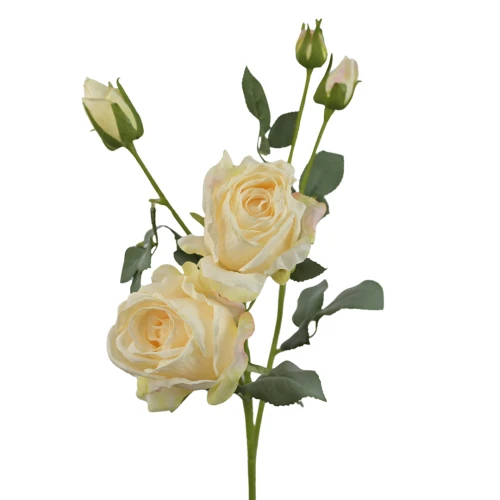 Sztuczna róża suszona gałązkowa w kolorze kremowym 68 cm