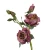 Sztuczna róża suszona gałązkowa w kolorze fuksji 68 cm