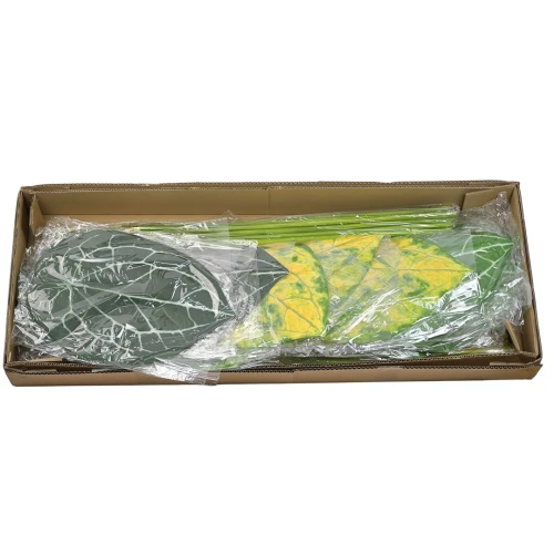 Karton liścia gumowego 90 cm