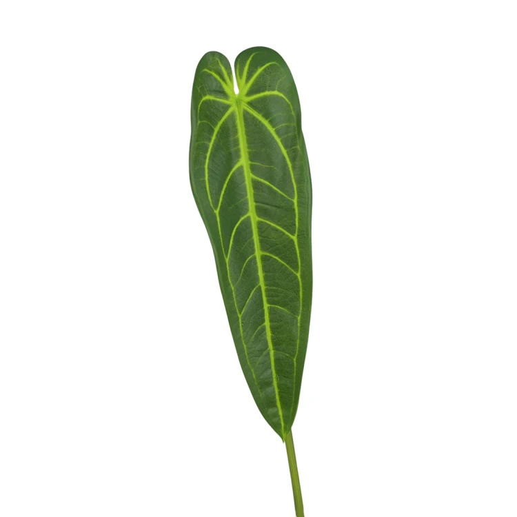 Liść 90 cm