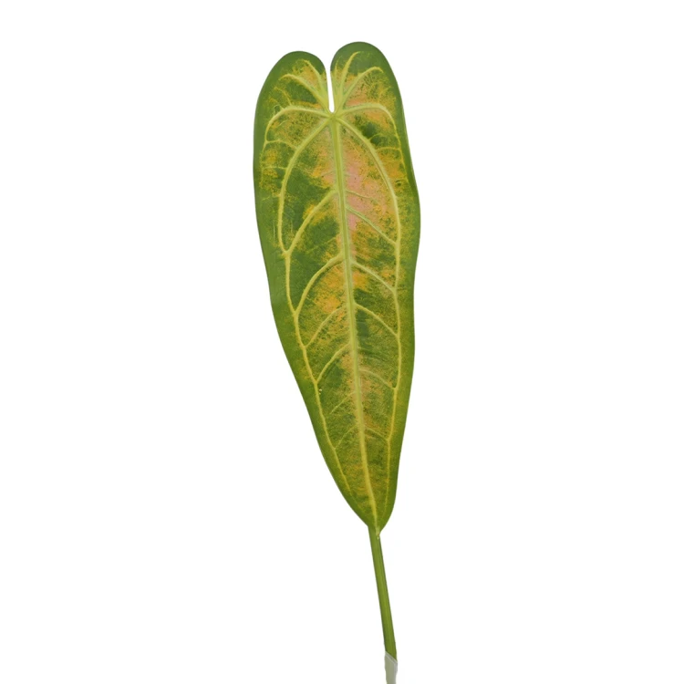 Liść 90 cm