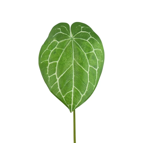 Sztuczny liść gumowy okrągły w kolorze jasno zielonym 90 cm