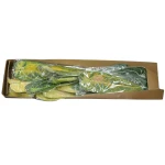 Karton liścia okrągłego mix kolorów 90 cm