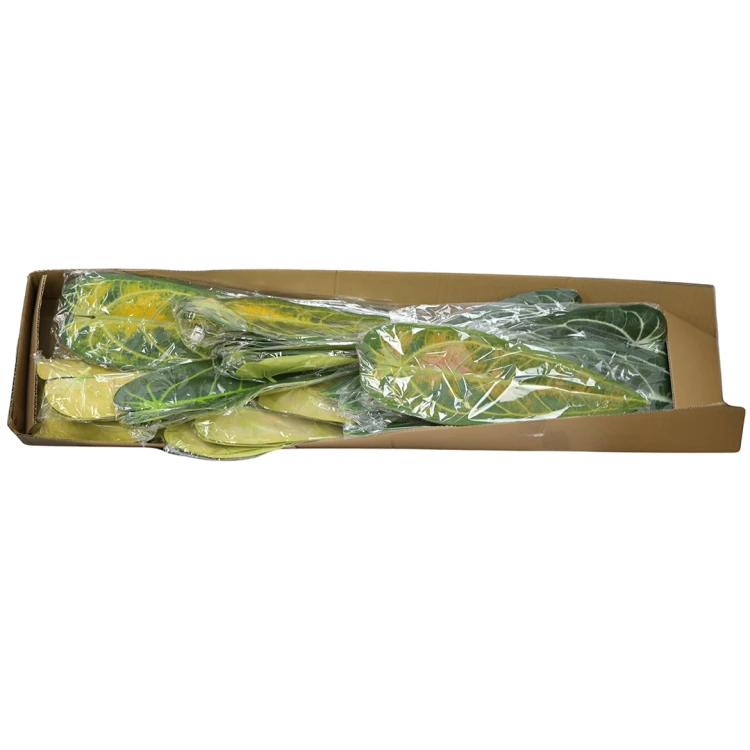 Karton liścia okrągłego mix kolorów 90 cm