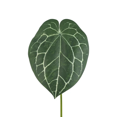 Liść okrągły 90 cm