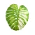 Liść monstera 120 cm
