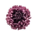 Sztuczna duża chryzantema w kolorze fioletowym 16 cm