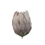 Kwiat sztuczny protea w kolorze delikatnym brązie 12 cm