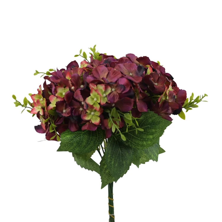 Hortensja na piku 37 cm