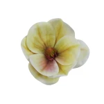 Sztuczna gumowa magnolia w kolorze kremowo/zielonym 15 cm