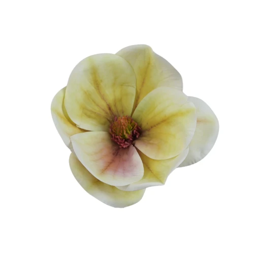 Sztuczna gumowa magnolia w kolorze kremowo/zielonym 15 cm