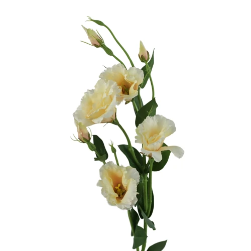 Sztuczna eustoma w kolorze jasno brzoskwiniowym 84 cm
