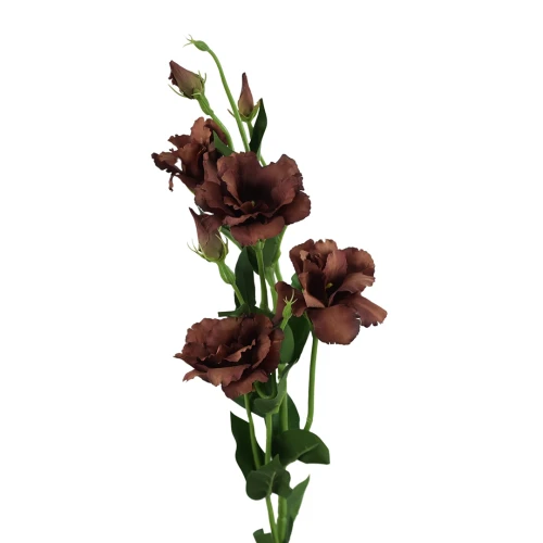 Sztuczna eustoma w kolorze czekoladowym 84 cm