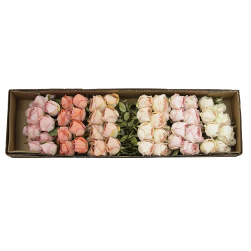 Karton róży gałązkowej mix kolorów 65 cm