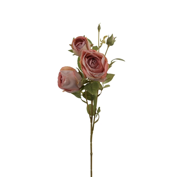 Róża gałązkowa 65 cm