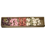 Karton bukietu róży x7 mix kolorów 44 cm