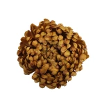 Sztuczna duża chryzantema w kolorze jasno brązowym 16 cm