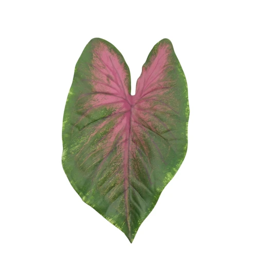 Sztuczny gumowy liść kaladium w kolorze zielono/fioletowym 28 cm