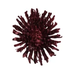 Kwiat sztuczny, chryzantema strzępiata w kolorze bordowym 19 cm