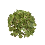 Kwiat sztuczny hortensja w kolorze zielonym 14 cm