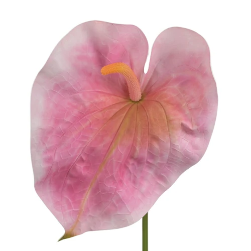 Sztuczne duże anturium w kolorze różowym 86 cm