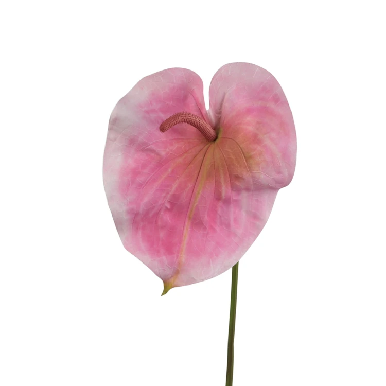 Sztuczne duże anturium w kolorze różowo/czerwonym 86 cm