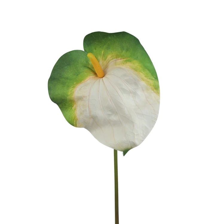 Sztuczne duże anturium w kolorze zielono/białym 86 cm