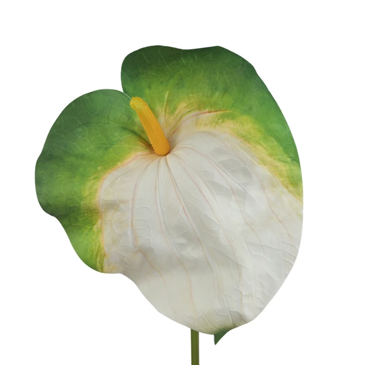 Sztuczne duże anturium w kolorze zielono/białym 86 cm