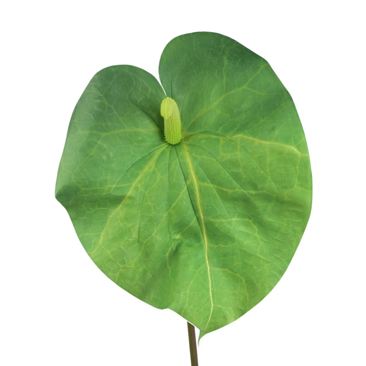 Sztuczne duże anturium w kolorze zielonym 86 cm