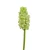 Sztuczny hiacynt pojedynczy w kolorze zielonym 42 cm