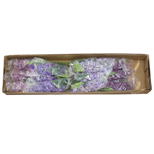 Karton bzu gumowego mix kolorów 72 cm