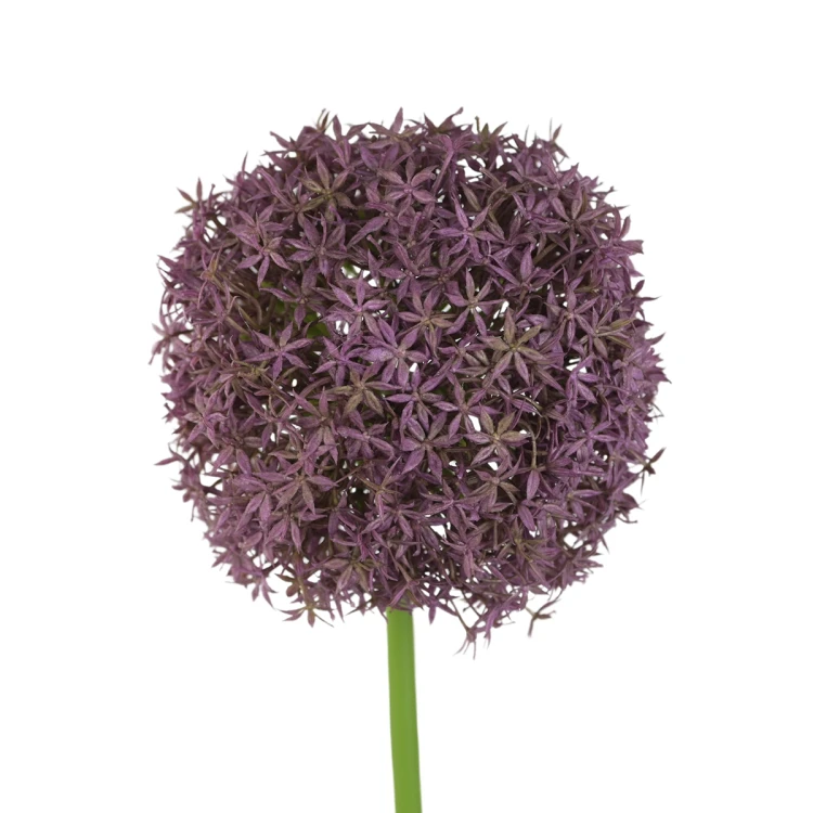 Sztuczny pojedynczy czosnek w kolorze fioletowym 90 cm