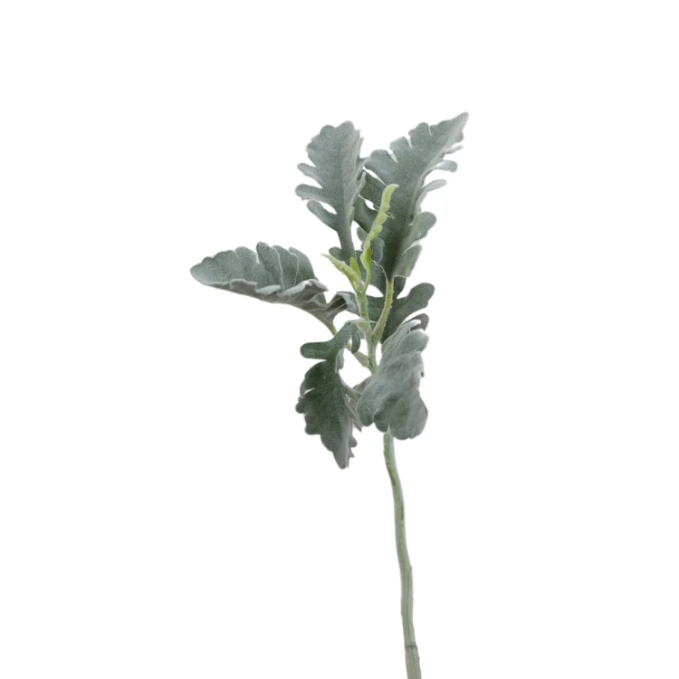 Sztuczny starzec w kolorze szaro zielonym