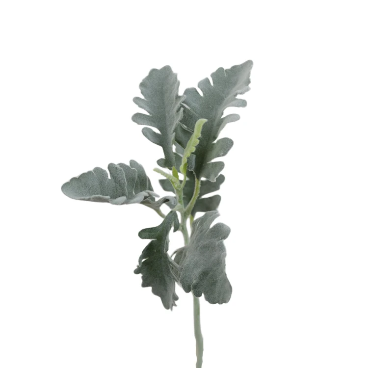 Sztuczny starzec w kolorze szaro zielonym