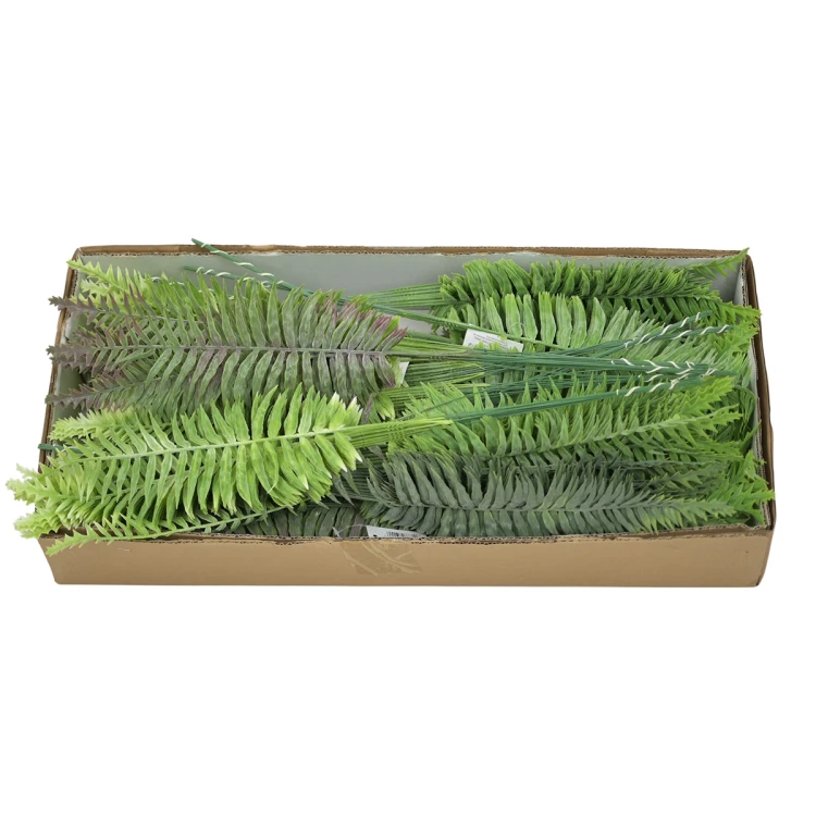 Karton paproci mix kolorów 55 cm