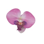 Kwiat sztuczny storczyk głowa w kolorze różowo/fioletowym 11 cm