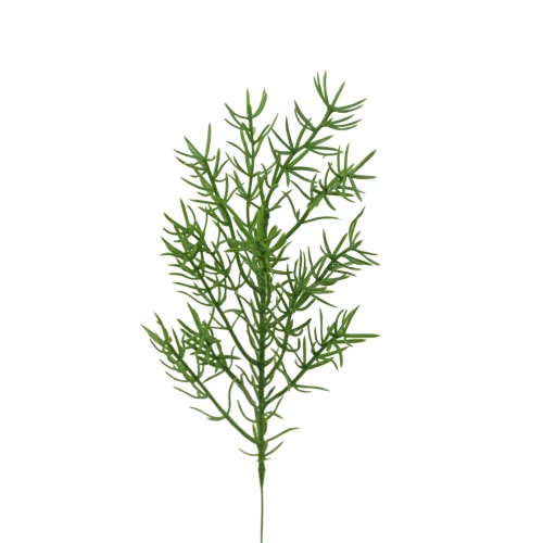 Sztuczna asparagus na piku w kolorze zielonym 44 cm