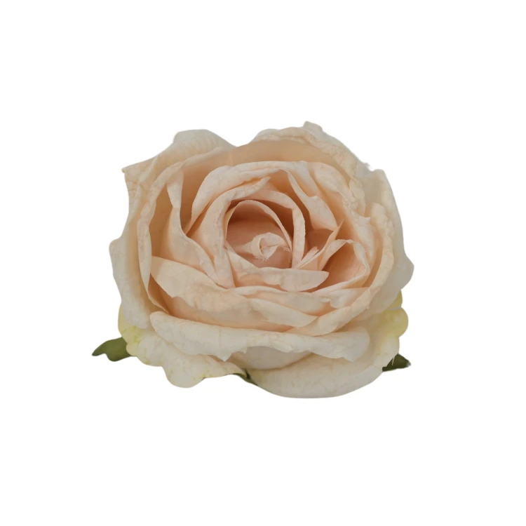 Róża 8 cm