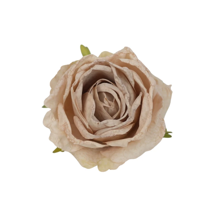 Róża 8 cm