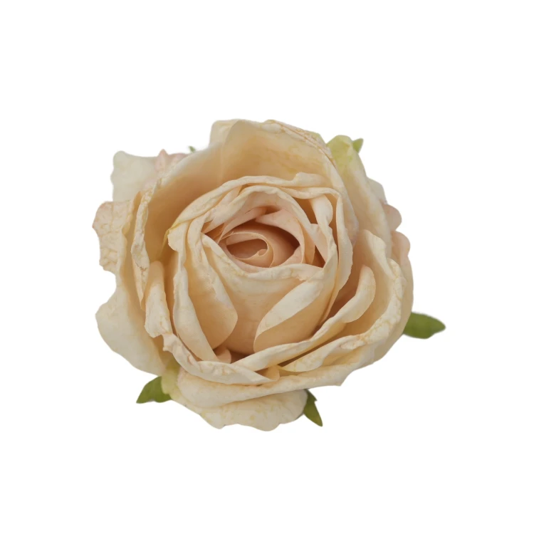 Róża 8 cm